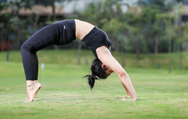 What are the most popular UK pet breeds and why?